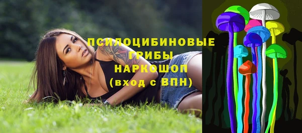 альфа пвп Нея