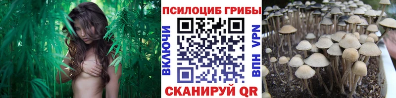 Галлюциногенные грибы Magic Shrooms  цена наркотик  гидра ССЫЛКА  Лысьва 