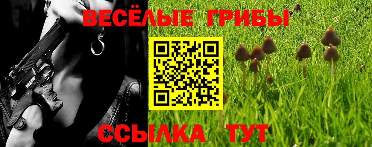 Лысьва  Галлюциногенные грибы прущие грибы  Вход с VPN 