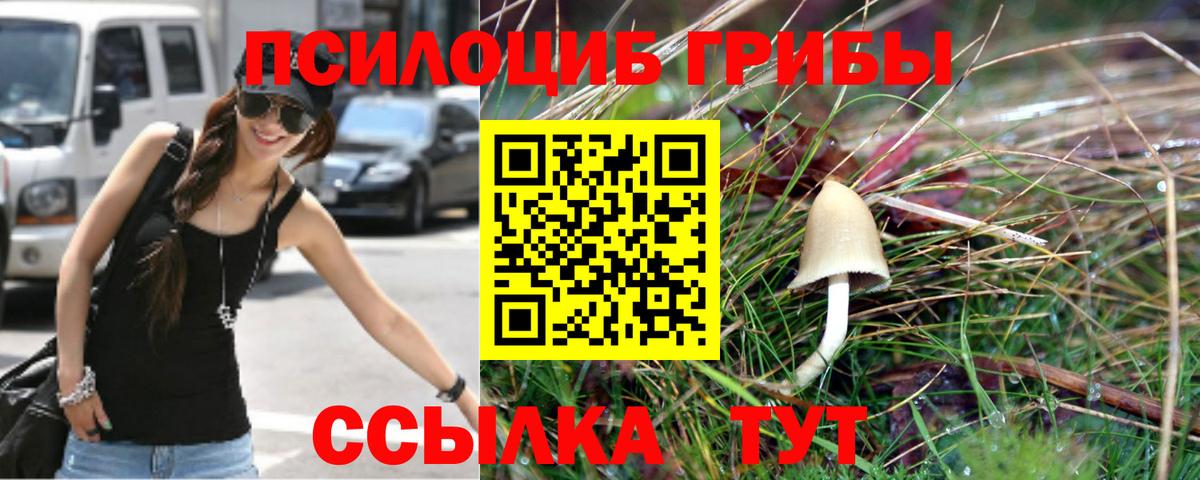Псилоцибиновые грибы прущие грибы Лысьва