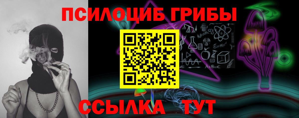 Псилоцибиновые грибы GOLDEN TEACHER Лысьва